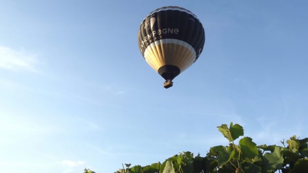 Champagne, Famille et Sensation