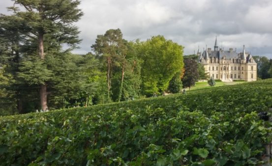 Champagne, Castle and Biodynamic