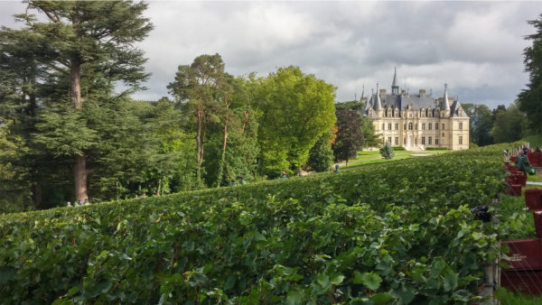 Champagne, Château et Biodynamie